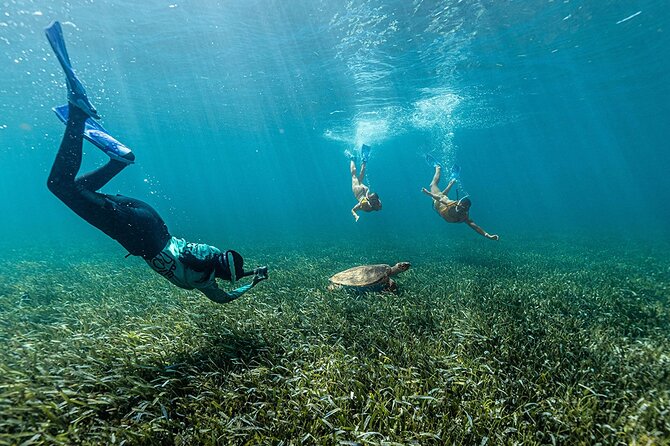 Catamaran Plus Reef Snorkeling and Isla Mujeres Visit - All-Inclusive Drinks and Onboard Amenities