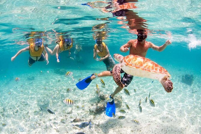 Catamaran Plus Tour to Isla Mujeres with National Open Bar from Cancun - Practical Details and Tips for the Tour