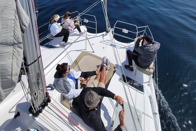 Catamaran Sailing Cruise in Monterey - Discover the Serenity of Monterey Bay Sailing with a Spacious Catamaran