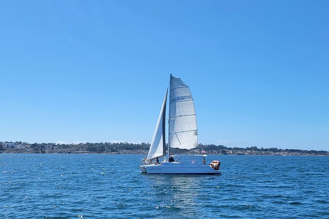 Catamaran Sailing Cruise in Monterey - The Experience of Hoisting the Sails and Relaxing with Beverages