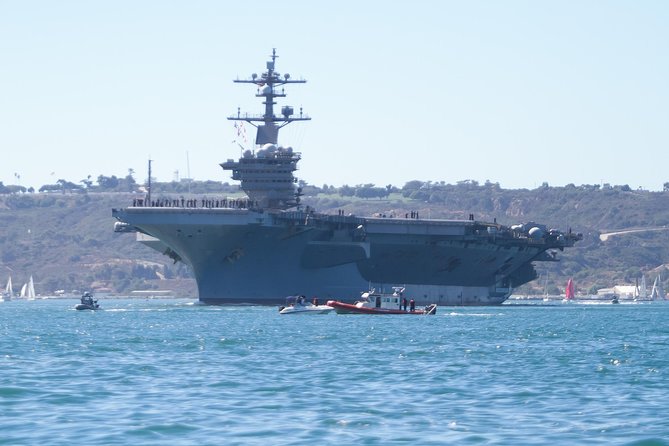 Catamaran Sailing Cruise on San Diego Bay for up to 6 Guests - Wildlife Watching: Whales, Sea Lions, and Dolphins