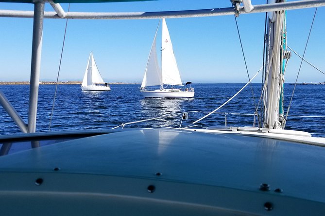 Catamaran Sailing Cruise on San Diego Bay for up to 6 Guests - What Sets This Tour Apart: Personalization and Wildlife Focus