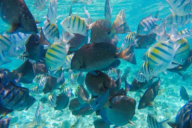 Catamaran Sailing Experience & Snorkeling Tour to Isla Mujeres - Exploring Punta Sur: The Home of Ixchel