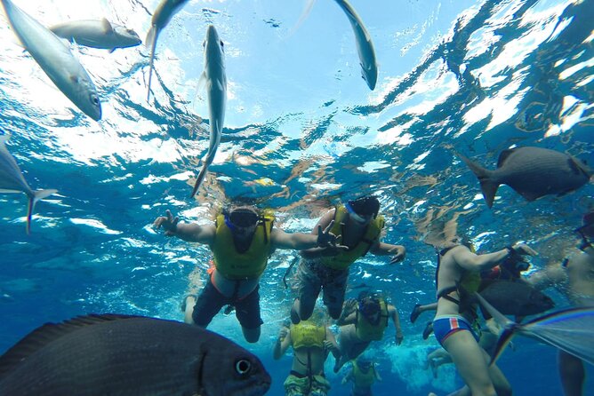 Catamaran Snorkeling to El Cielo and The Money Bar Beach Club - Discovering El Cielo: Starfish and Shallow Crystal Waters
