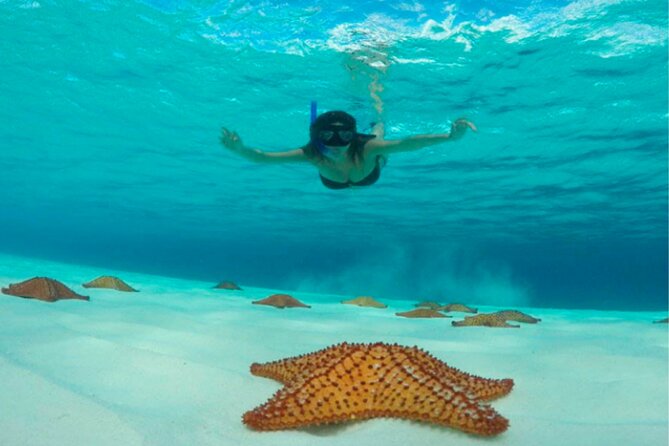 Catamaran Snorkeling to El Cielo and The Money Bar Beach Club - Relaxing at The Money Bar Beach Club