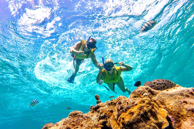 Catamaran Snorkeling to El Cielo and The Money Bar Beach Club - Drinks, Snacks, and Refreshments: All Included