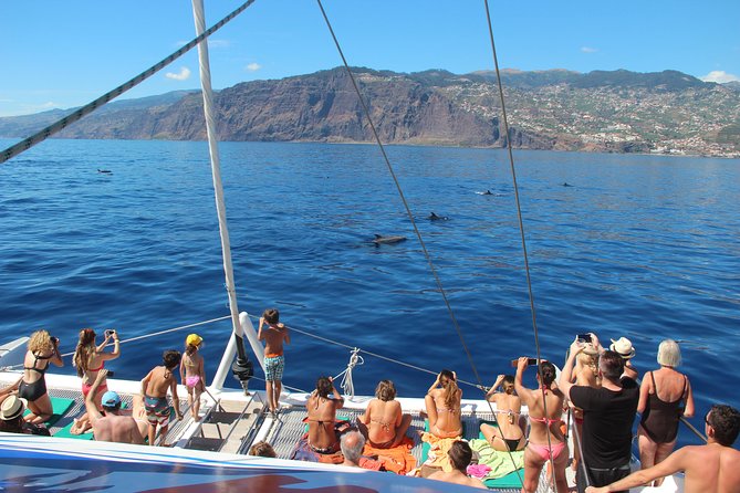 Catamaran Sunset Cruise from Funchal - The Halfway Swim Stop: Swim in Warm Waters