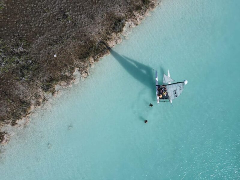 Catamarán Through the Bacalar Lagoon and Make New Friends - Cenote la Bruja: A Unique Swimming Spot