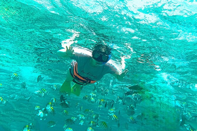 Catamaran to Isla Mujeres, from Playa del Carmen or Riviera Maya - Lunch and Drinks at Icebar Beach Club