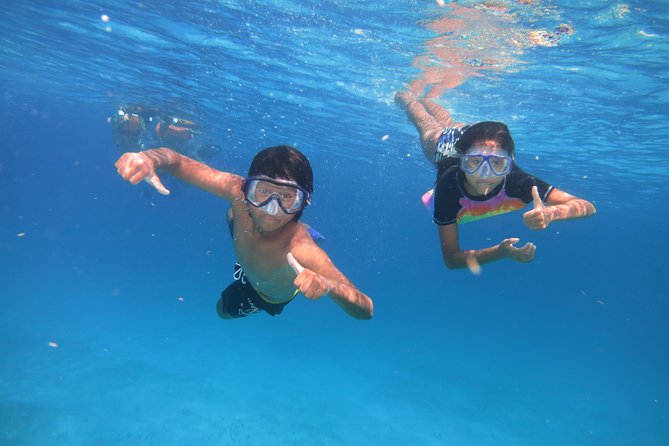 Catamaran Tour to Isla Mujeres all Included - The Party Atmosphere and Crew Service