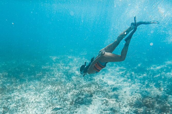 Catamaran Tour to Isla Mujeres Cancun - Lunch and Beach Relaxation at North Beach