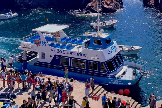 Catamaran trip to Berlengas Island + visit to the caves - Wildlife Encounters and Scenic Vistas