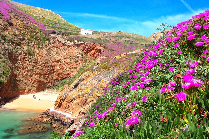 Catamaran trip to Berlengas Island + visit to the caves - The Experience Provider: Odisseia Viva
