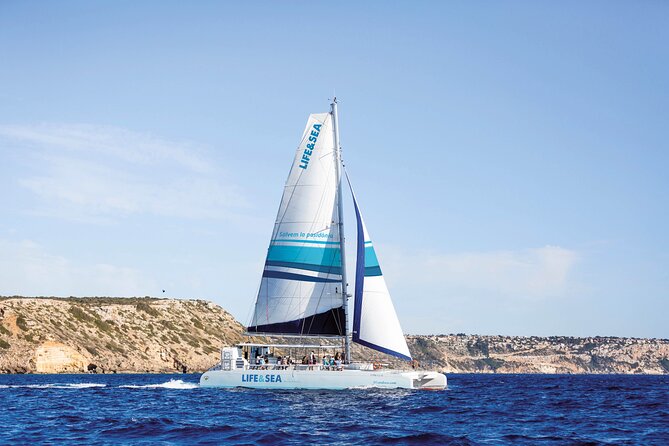 Catamaran with BBQ in the Bay of Palma - Discover the Catamaran with BBQ in the Bay of Palma