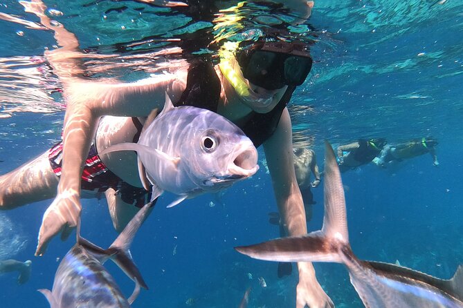 Catamaran with Slide in Cozumel Reef Snorkeling Experience - El Cielo’s Starfish and Crystal Waters
