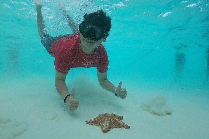 Catamaran with Slide in Cozumel Reef Snorkeling Experience - Cielito’s Serene Reef and Manta Rays