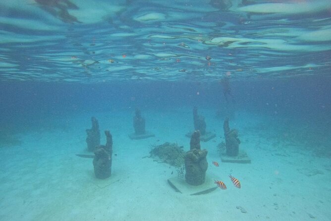 Catamaran with Snorkeling and Playa Norte Beach, Isla Mujeres - Included and Extra Costs to Keep in Mind