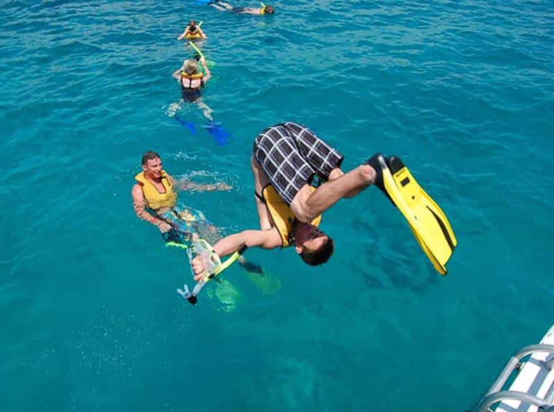 Catamaya Snorkel & Sea Life Adventure day tour - Snorkeling at the Second Largest Reef