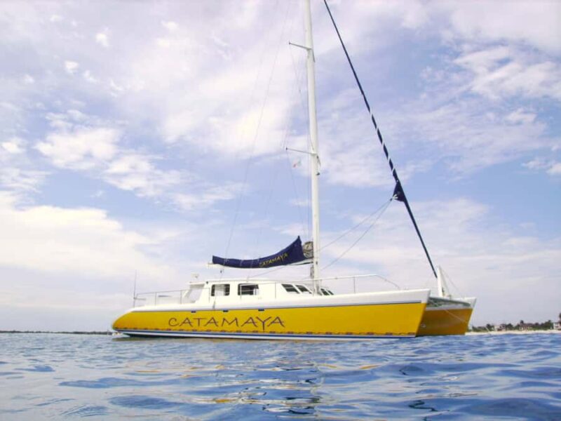 Catamaya Snorkel & Sea Life Adventure day tour - Comparing Similar Experiences in the Region