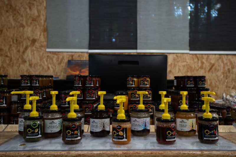 Catania: Etna Morning Excursion with Tasting and Pickup - Discover Mount Etna with a Guided Morning Excursion from Catania