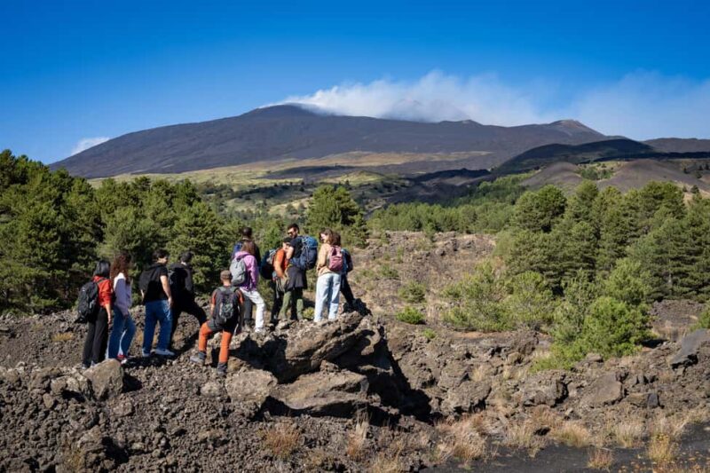 Catania: Etna Morning Tour with Transfer - The Scenic Highlights at Monti Sartorius and Vulcano Etna