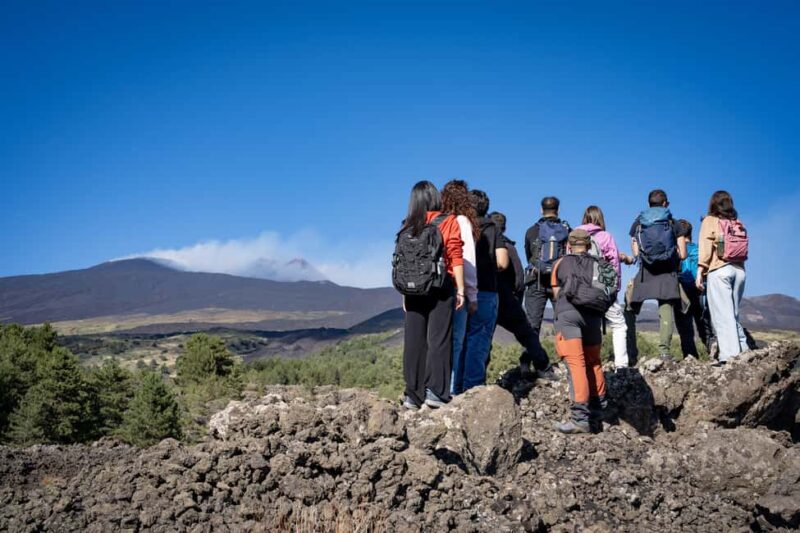 Catania: Etna Morning Tour with Transfer - The Guide’s Role and Tour Pacing