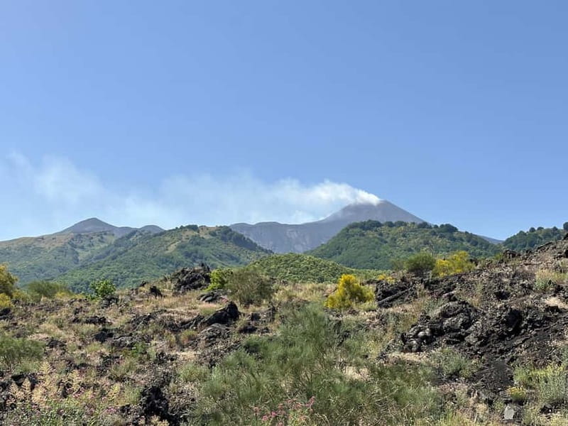 Catania: Etna Tour with licensed Tour Guide pickup & drop-of - Key Points
