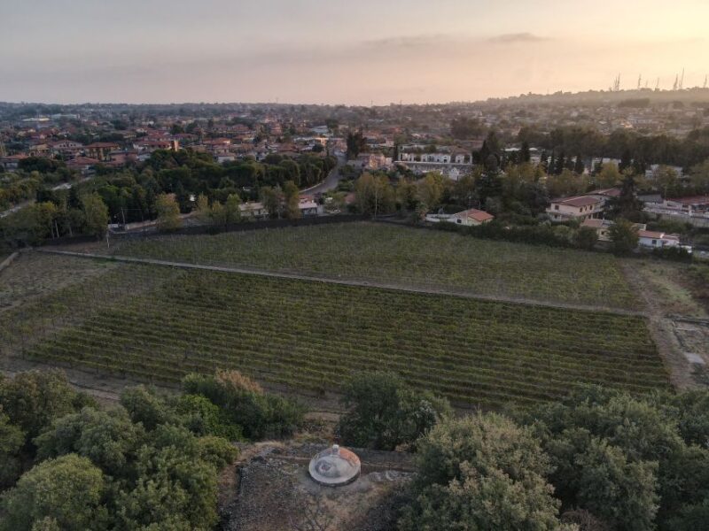 Catania: Etna Urban Winery Sicilian Lunch with Wine Tasting - Why This Tour Stands Out