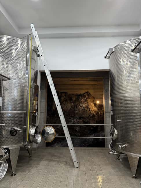 Catania: Etna Wine Tour and Culinary Experience - Key Points