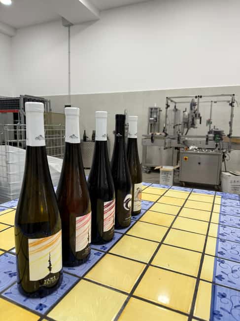 Catania: Etna Wine Tour and Culinary Experience - Additional Tastes: Oils, Honey, and Grappa