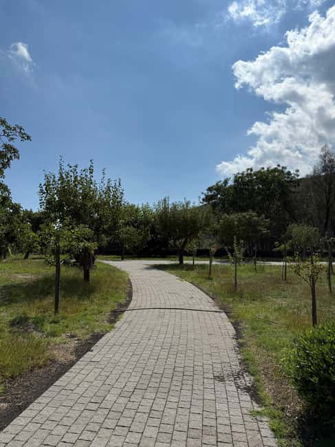 Catania: Etna Wine Tour and Culinary Experience - The Guide: Knowledgeable and Multilingual