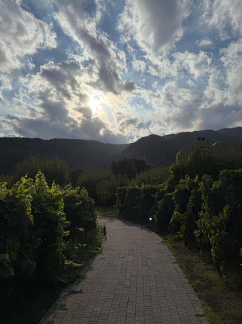 Catania: Etna Wine Tour and Culinary Experience - Discovering Catanias Mount Etna Through Food and Wine