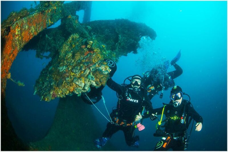 Catania: Gulf Scuba Diving Tour with Marine Biologist - Starting Point at Etna & Sea Excursions
