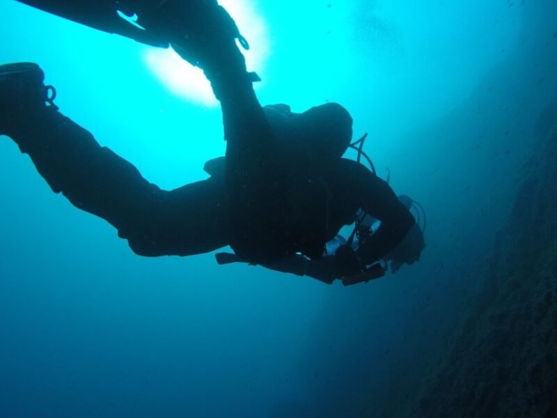 Catania: Gulf Scuba Diving Tour with Marine Biologist - Logistics: From the Meeting Point to the Underwater World