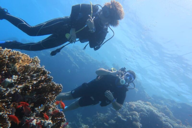 Catania: Gulf Scuba Diving Tour with Marine Biologist - The Experience of Supporting Equipment and Safety Measures