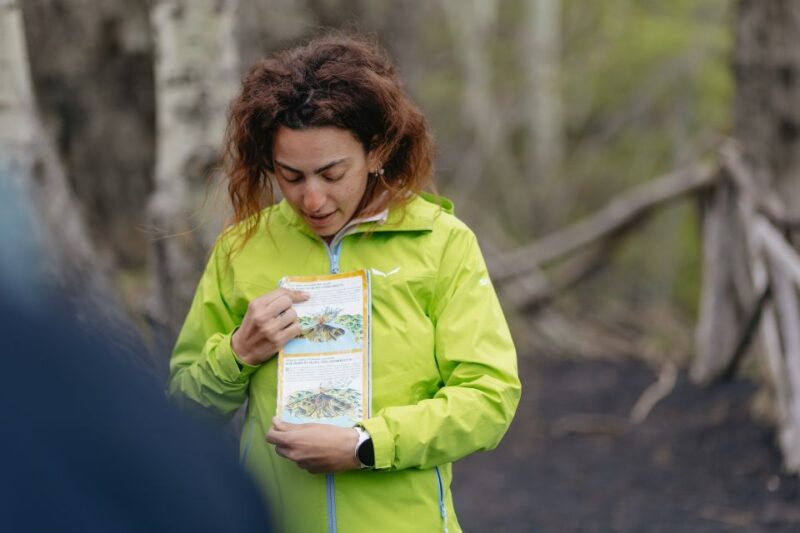 Catania: Mount Etna Morning or Sunset Day Trip with Tasting - Mount Etna’s Unique Landscape at 2,000 Meters