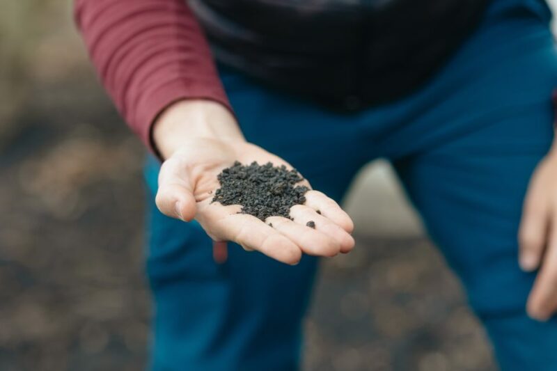 Catania: Mount Etna Morning or Sunset Day Trip with Tasting - Small-Group Atmosphere and Customer Service