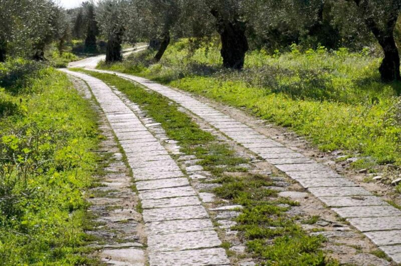 Catania: Pozzo di Gaspare Farm Guided Tour with Tastings - Explore the Pozzo di Gaspare Farm in Catania with Guided Tours and Tastes