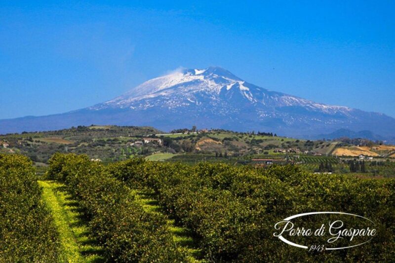 Catania: Pozzo di Gaspare Farm Guided Tour with Tastings - Key Points