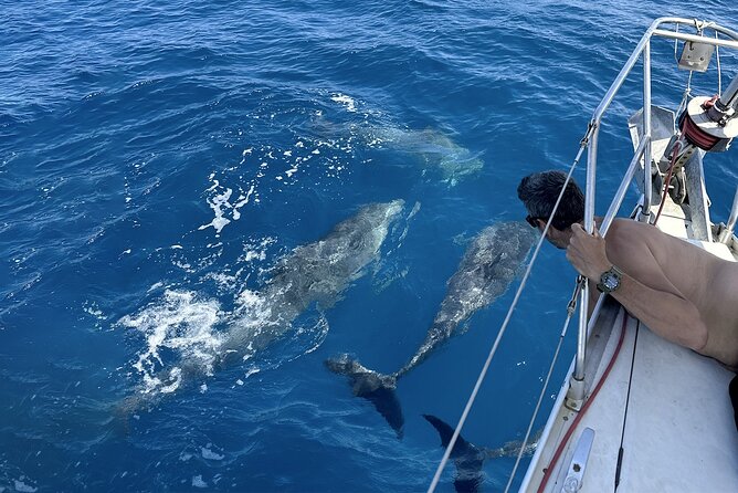 Catania: Sail Cyclops Coast by Boat and Enjoy a Sicilian Aperitif - Additional Fees and Considerations