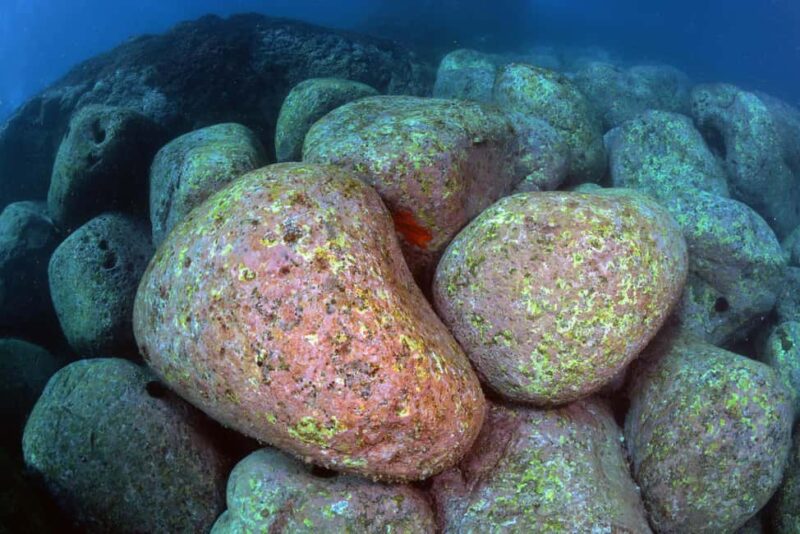 Catania: Scuba Diving Experience - Safety and Guidance from Experienced Instructors