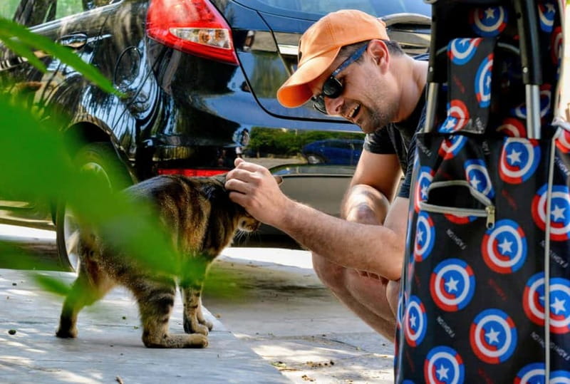 Cats of Athens - Walking Tour - Key Points