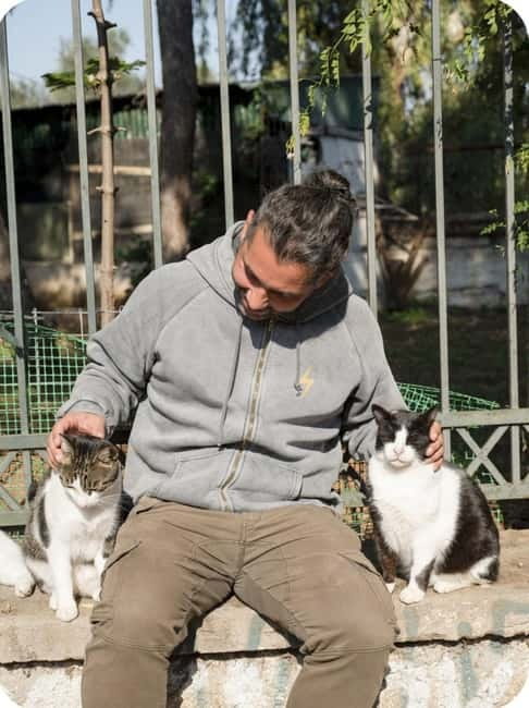 Cats of Athens - Walking Tour - Meet the Cats: Stories and Personalities