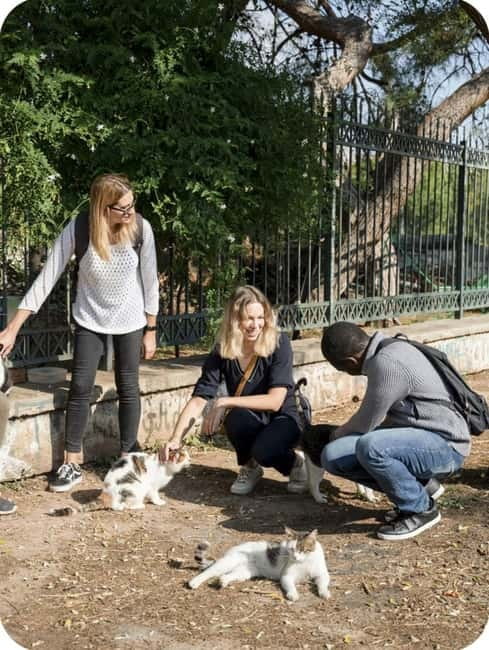 Cats of Athens - Walking Tour - Practical Details: Meeting Point, Group Size, and Accessibility
