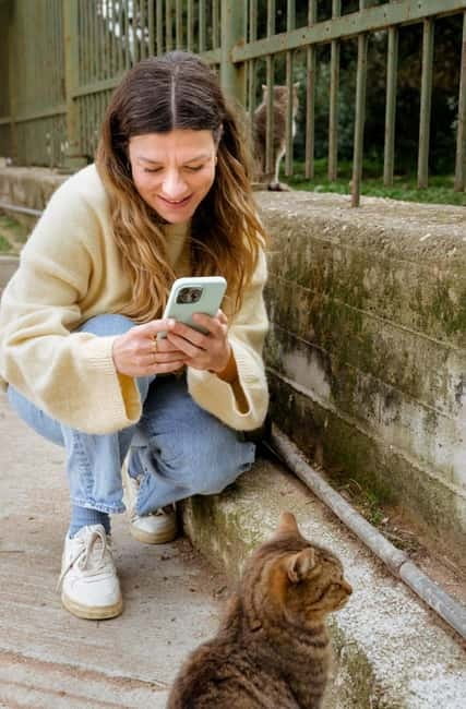 Cats of Athens - Walking Tour - Final Thoughts: Who Should Join the Cats of Athens Tour