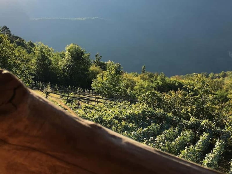 Caucasus: Wine Cellars Tour in Microzones of Racha-Lechkhumi - Exploring the Tvishi Wine Route
