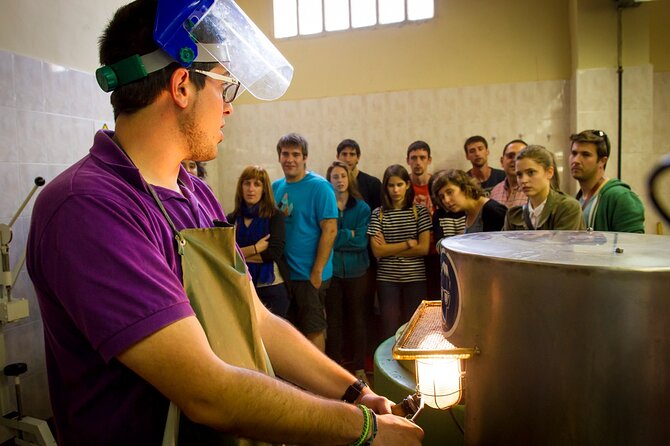 Cava Making Experience at the Local Winery in Barcelona - Unlock the Secrets of Catalan Sparkling Wine with a Hands-On Cava Workshop in Barcelona