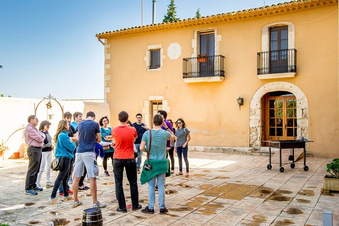 Cava Making Experience at the Local Winery in Barcelona - The Experience’s Pacing and Group Size