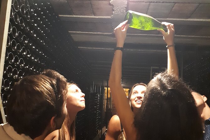 Cava tour to 3 family wineries with hotel pick-up - Key Points