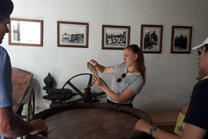 Cava tour to 3 family wineries with hotel pick-up - Visiting Giro del Gorner: A 5-Century-Old Cellar